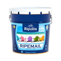 RIPEMAIL BLANC BRILLANT RIPOLIN 1KG