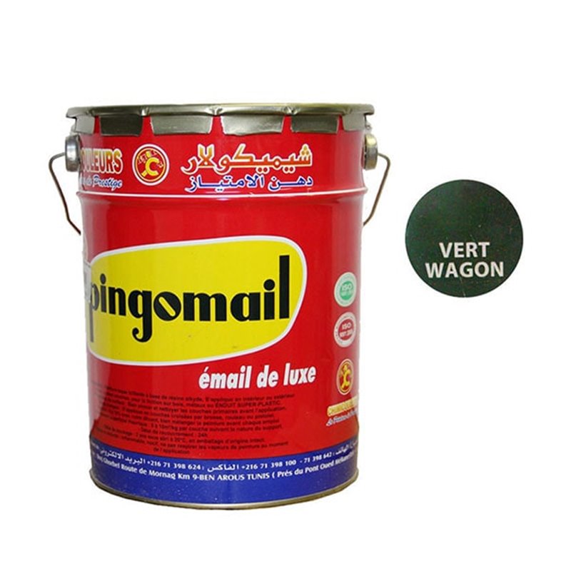 LAQUE PINGOMAIL VERT WAGON 4KG