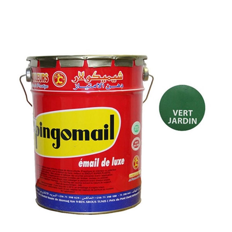 LAQUE PINGOMAIL VERT JARDIN 4KG