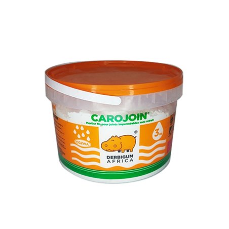 CAROJOINT DERBIGUM GRIS 3KG