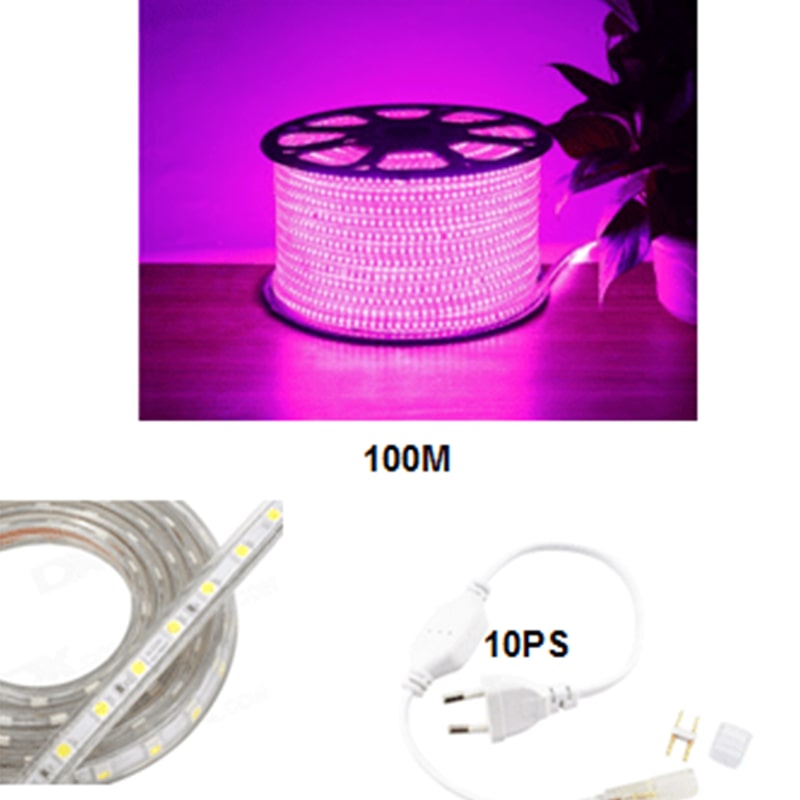 TUBE LIGHT LED ROSE 220V 10MM