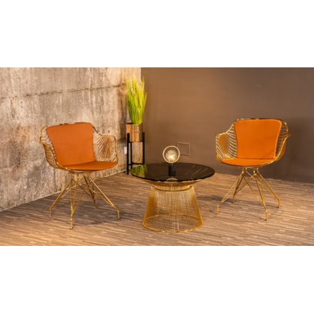 FAUTEUIL CHILLY & TABLE BASSE PLATNER