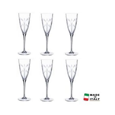 Lot De 6 Flutes CRISTAL D'ARQUE Muse 17 cl