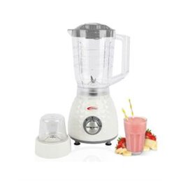 Blender FLORENCE BL820 1000W Avec Moulin - Gris